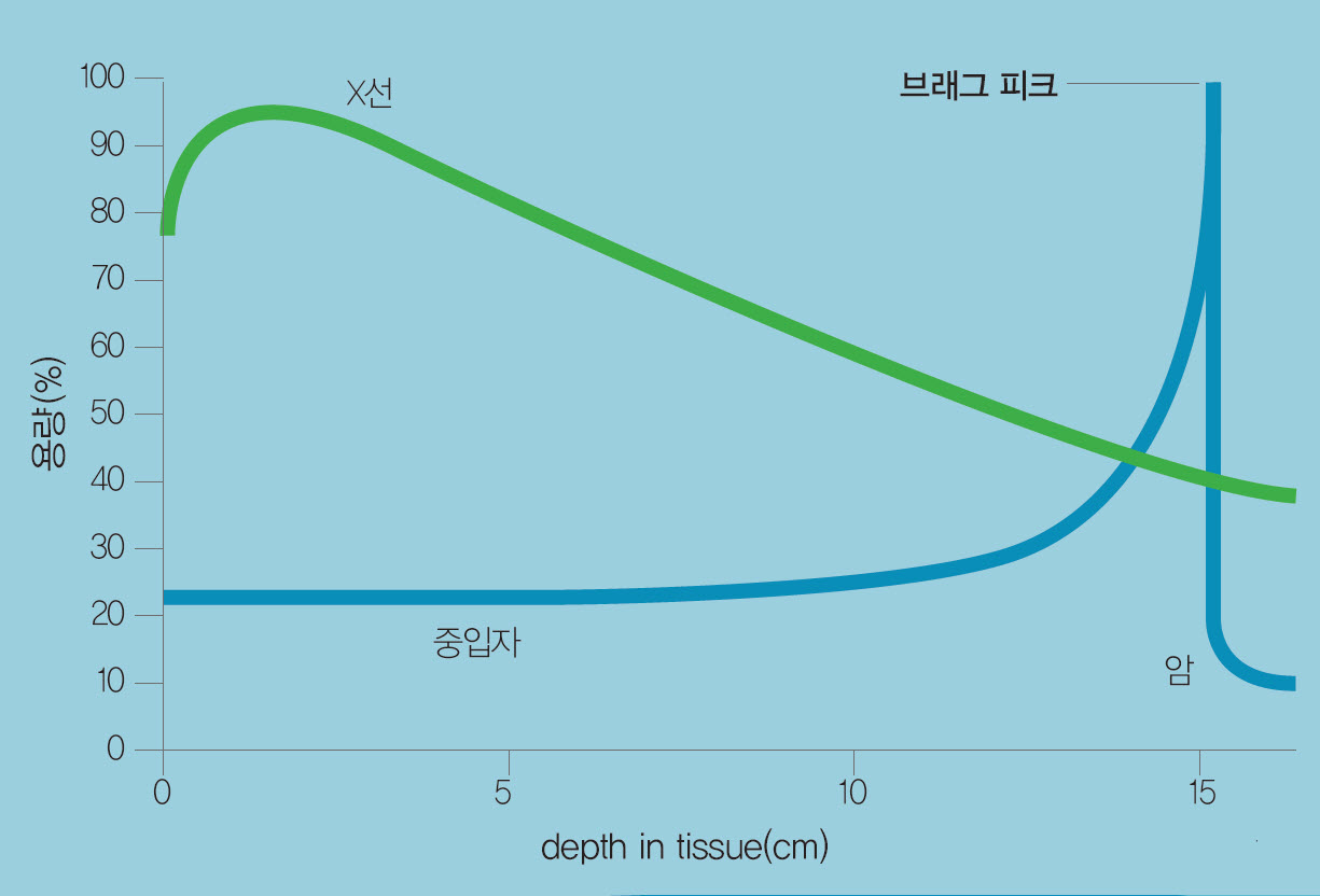 중입자의 Bragg Peak