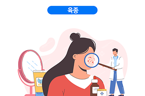 건강정보